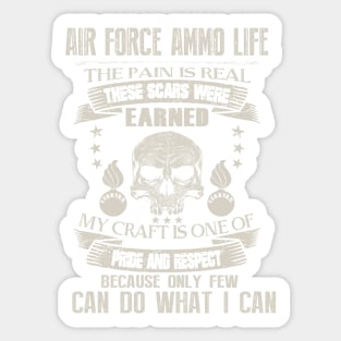 Air Force Ammo Respect Sticker